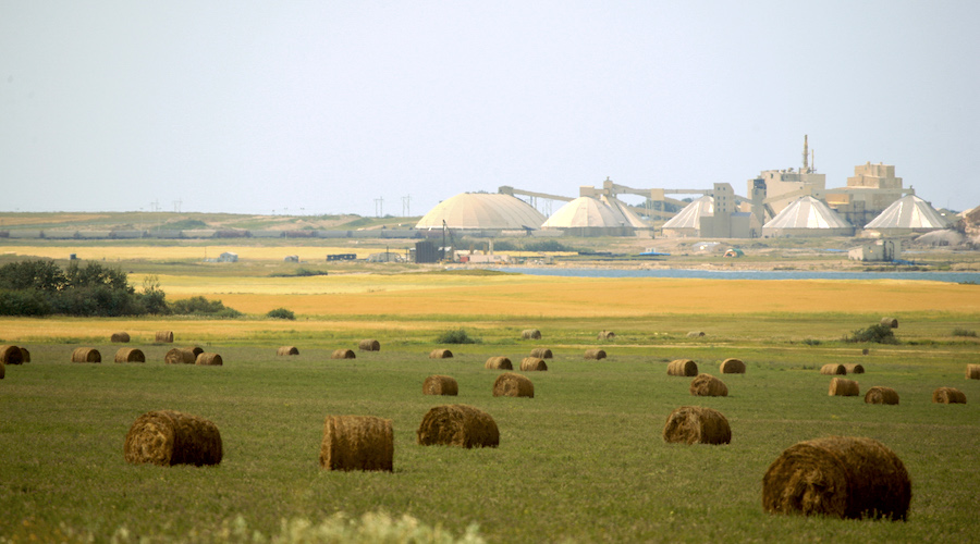 Nutrien to boost potash output despite demand drop