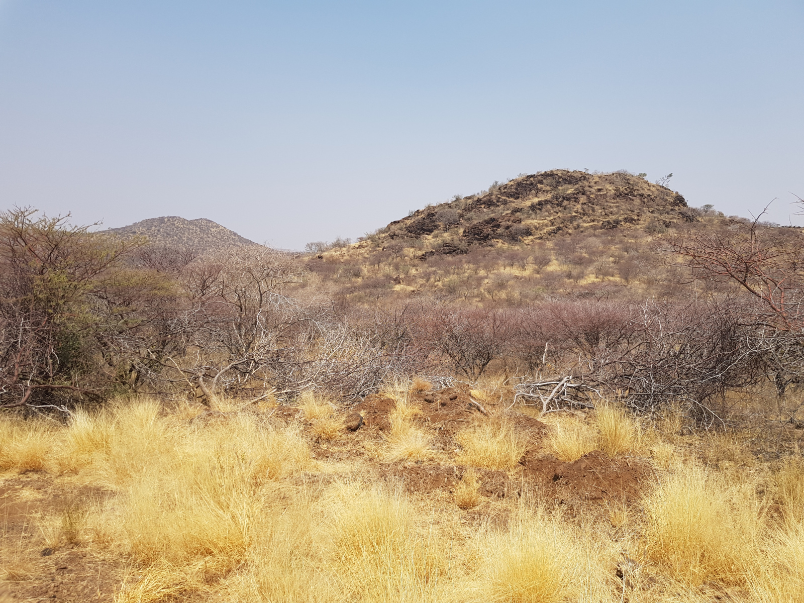 Namibian rare earth minerals project targets 2026 production