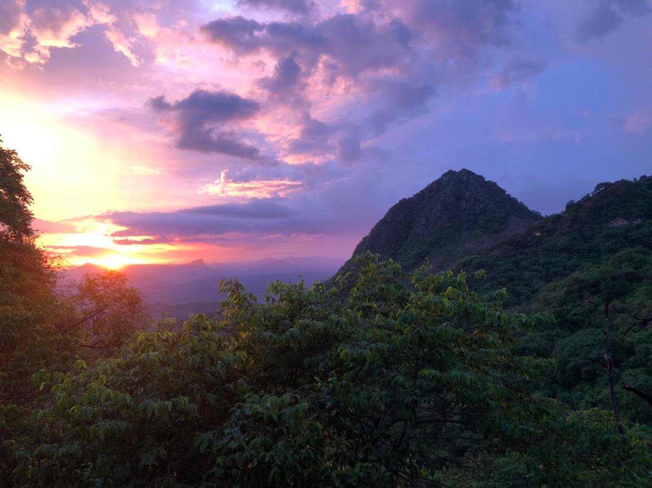 Prime Mining stock surges on upsized financing for Los Reyes project in Mexico