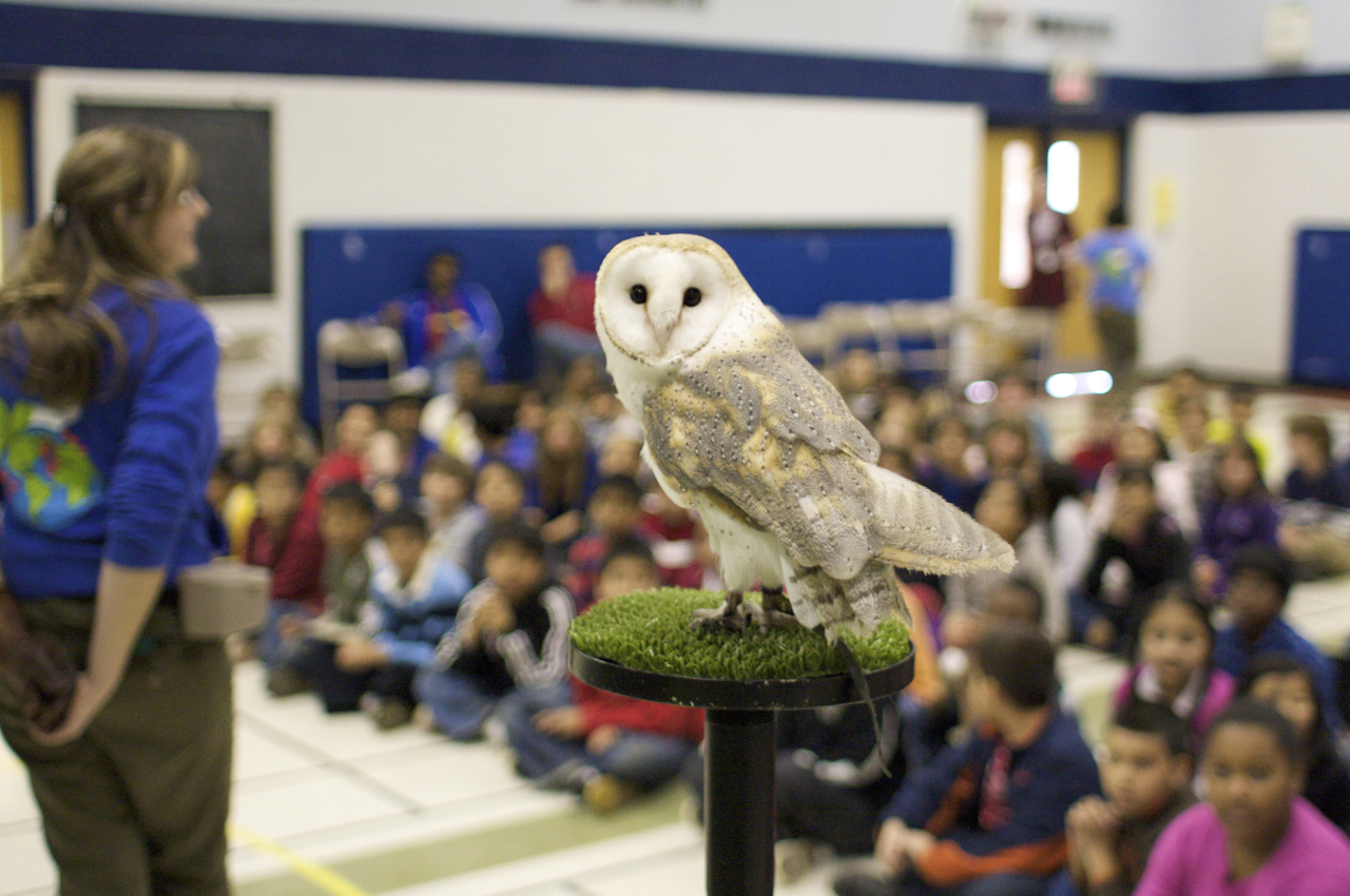Teck, Earth Rangers partner to support wildlife conservation in British Columbia