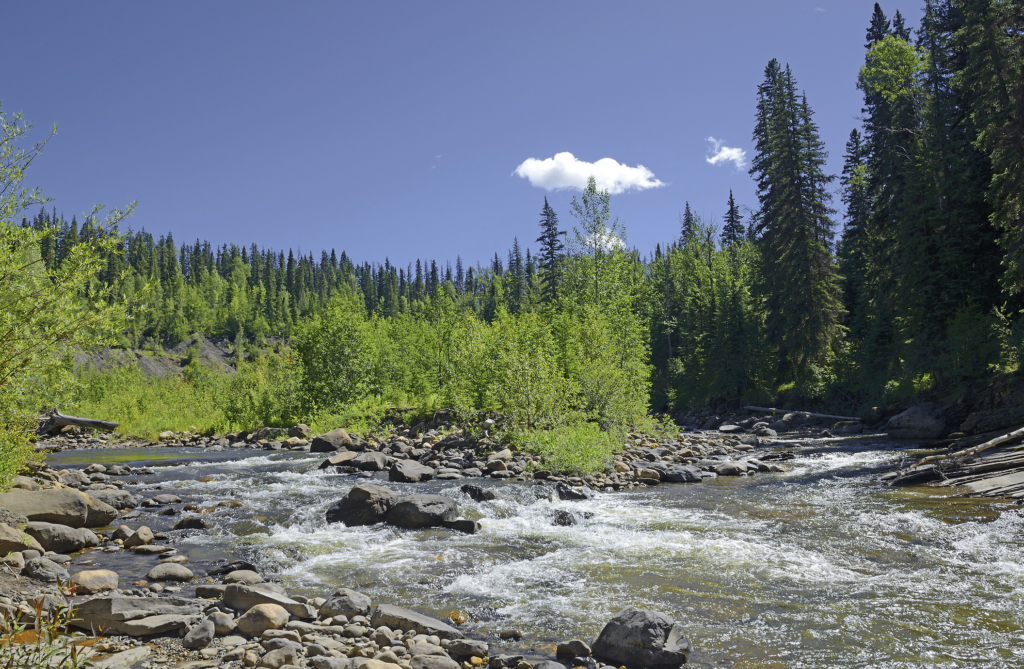 Canada blocks Glencore's proposed coal mine project in British Columbia