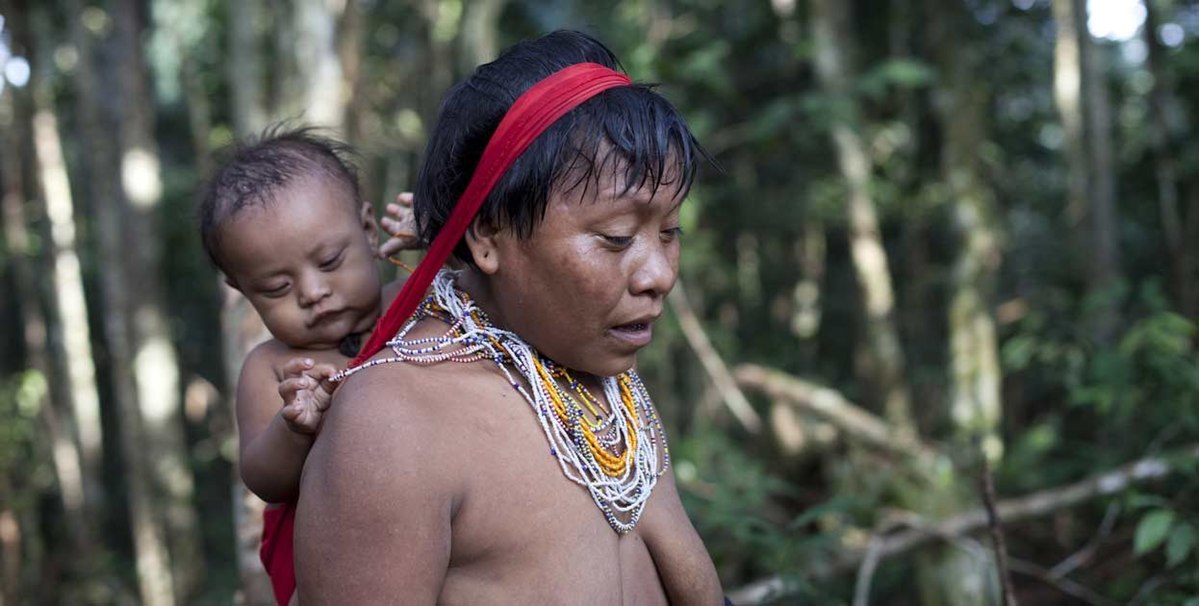 Brazil miner lobby seeks end to illegal mining that caused Yanomami tragedy