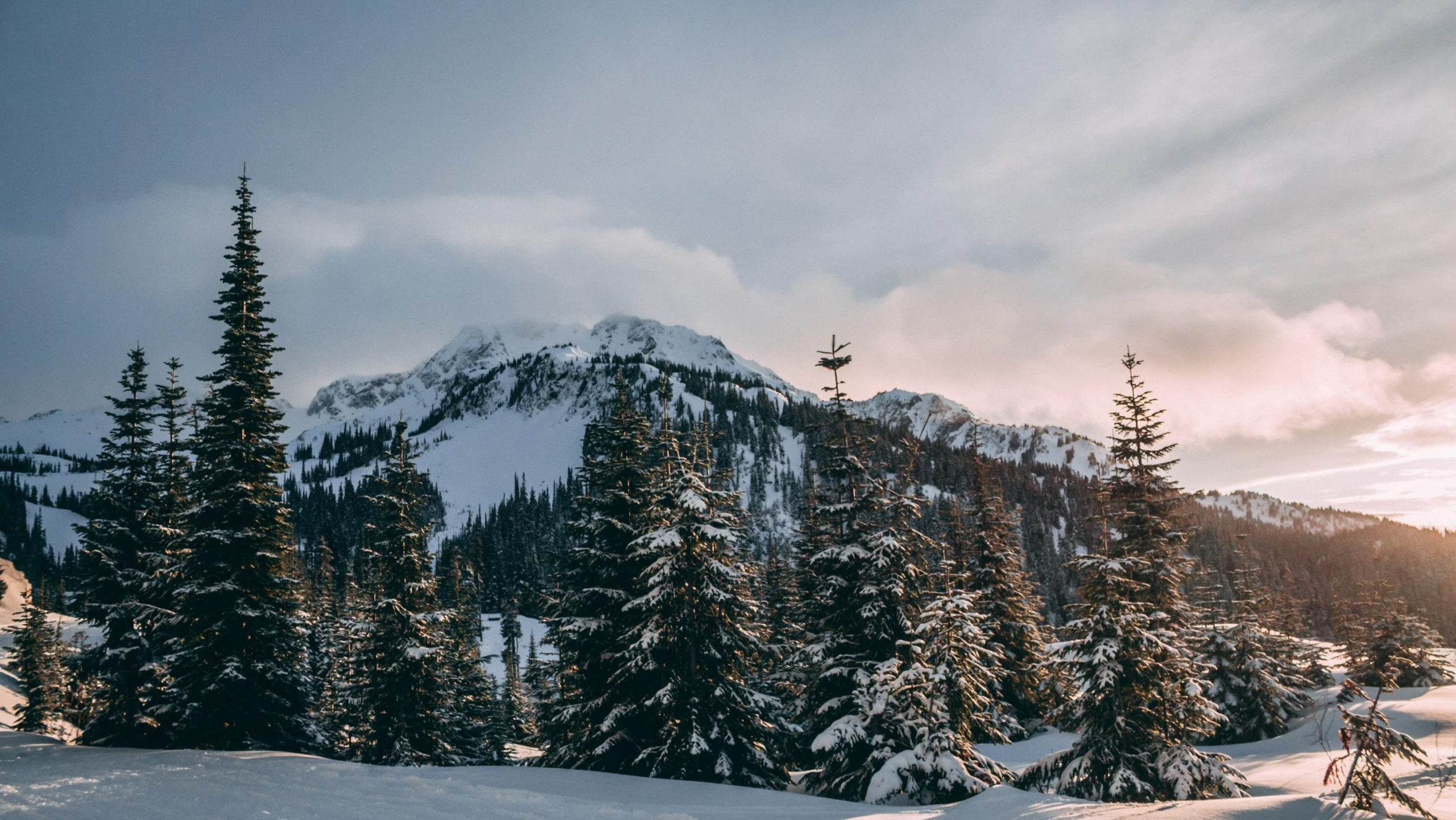 Transformed Dolly Varden Silver in discovery mode, says CEO