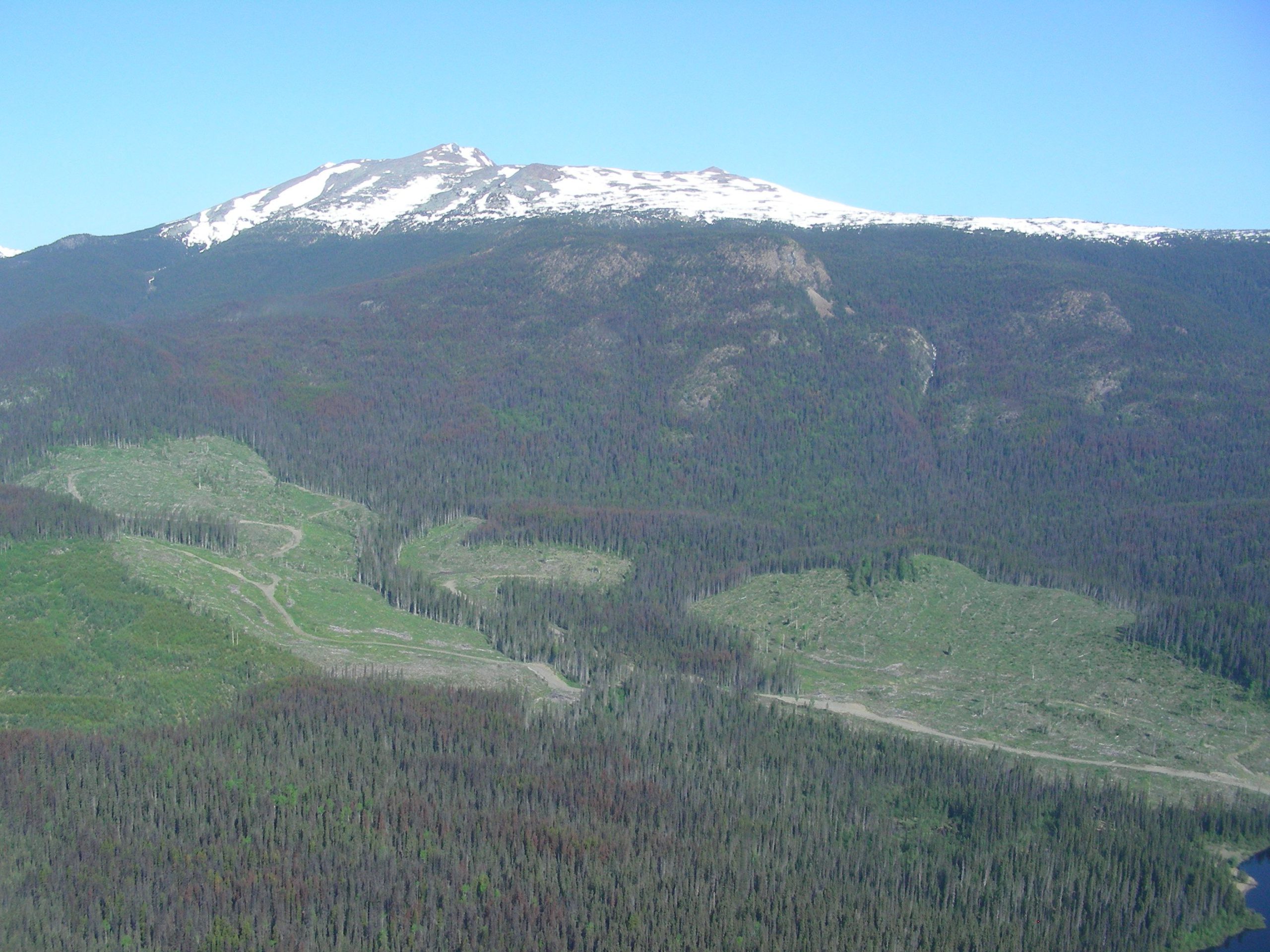 Prefeasibility for FPX Nickel’s Baptiste project puts NPV over $2 billion