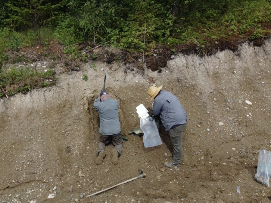 New geochemical data to support critical minerals exploration in British Columbia interior