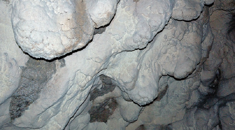 Moonmilk created from Macromonas bipunctata in the cave Bergmilchkammer.
