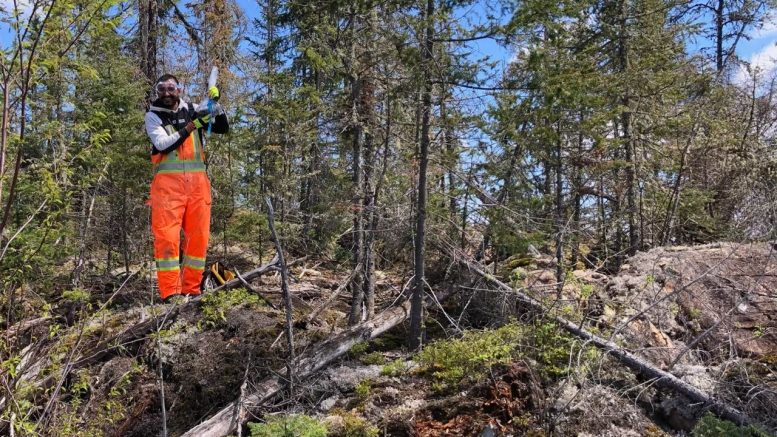 EV Nickel’s stock soars after announcing ‘enormous’ mineral resource in Ontario