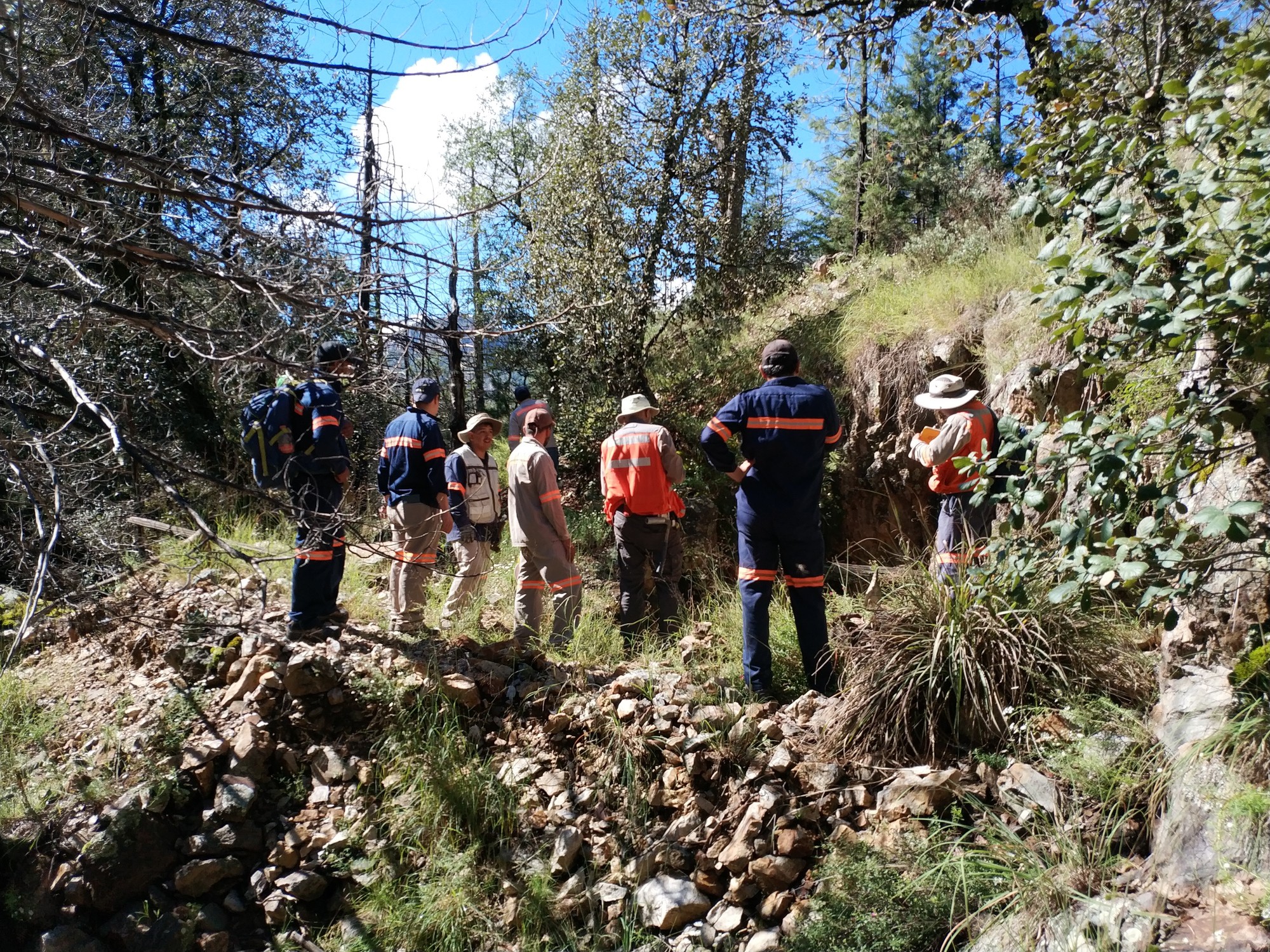 Golden Minerals tables initial resource for Yoquivo silver-gold project in Mexico