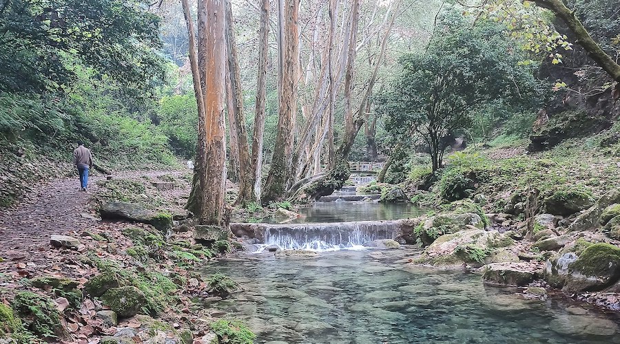 Mexico’s executive scrutinizes mining concessions in protected areas