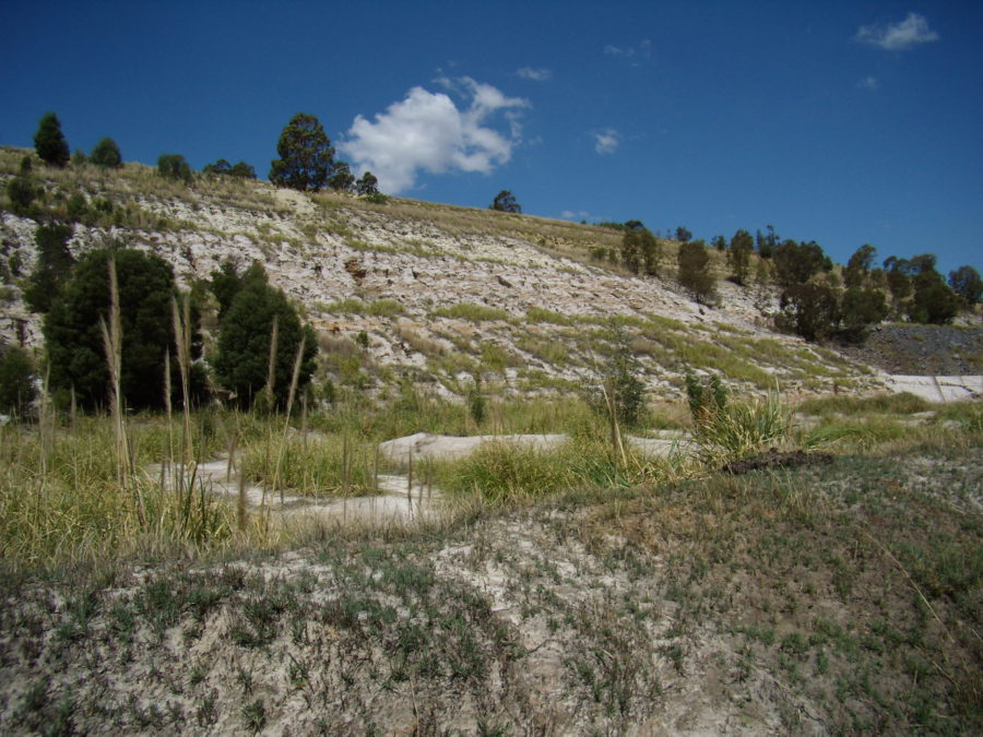 Conservative design central to meeting tailings standards – report