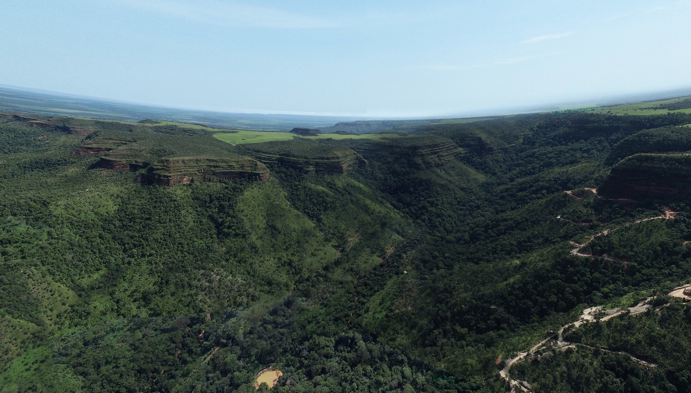 Cerrado issued preliminary licence for Brazil gold project, shares rise