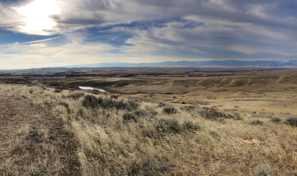 Ramaco CEO says Wyoming coal mine discoveries include gallium, germanium