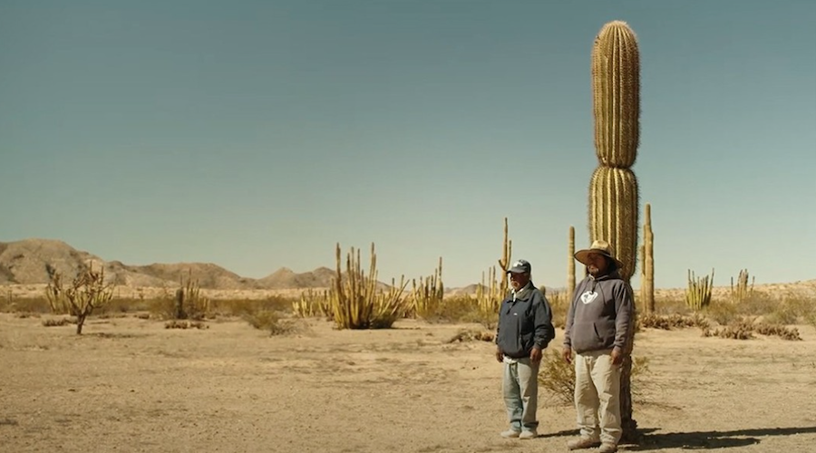 Mexico’s Superior Agrarian Court orders case between Penmont, traditional Sonora landowners reopened