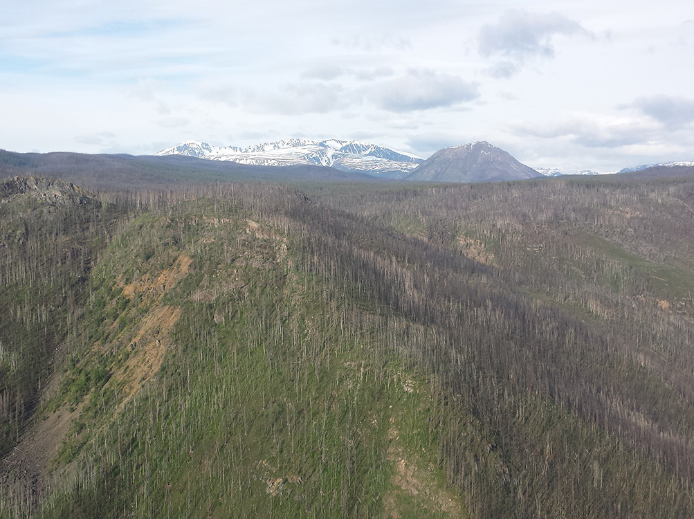 Doubleview Gold’s Hat project faces indigenous opposition in British Columbia