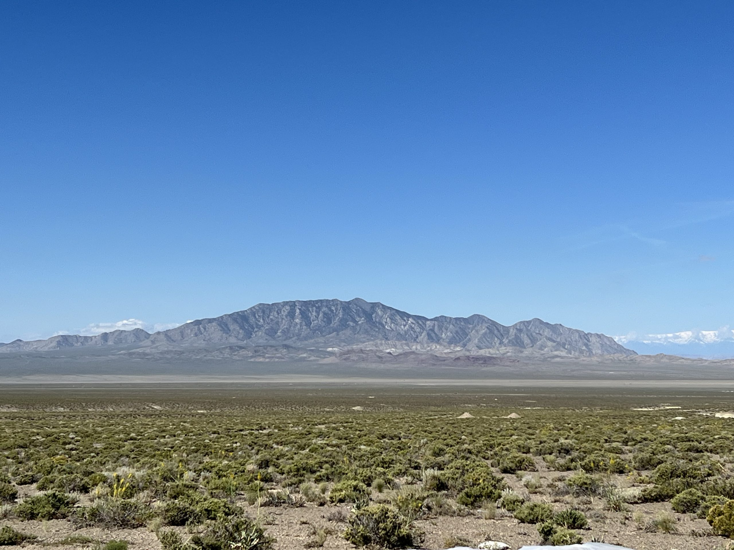 Nevada juniors collaborate on mine reclamation research