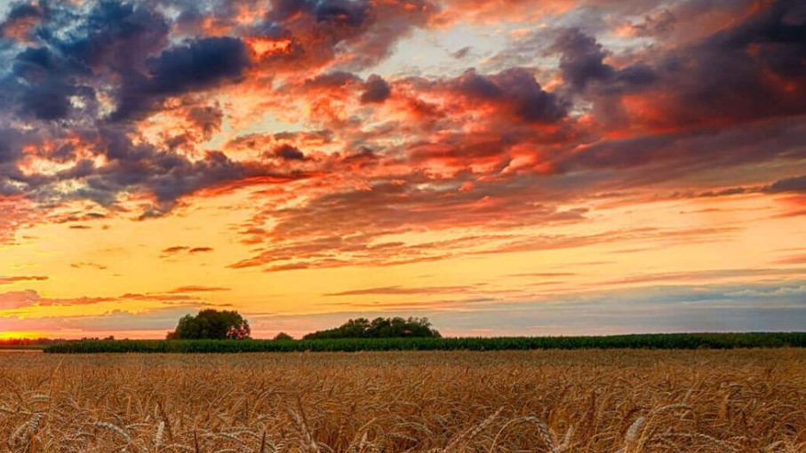 EMP Metals, University of Regina to research sources of subsurface lithium