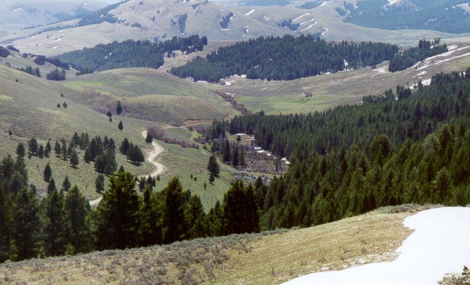 Freeman Gold shares lifted by initial PEA on Lemhi project in Idaho