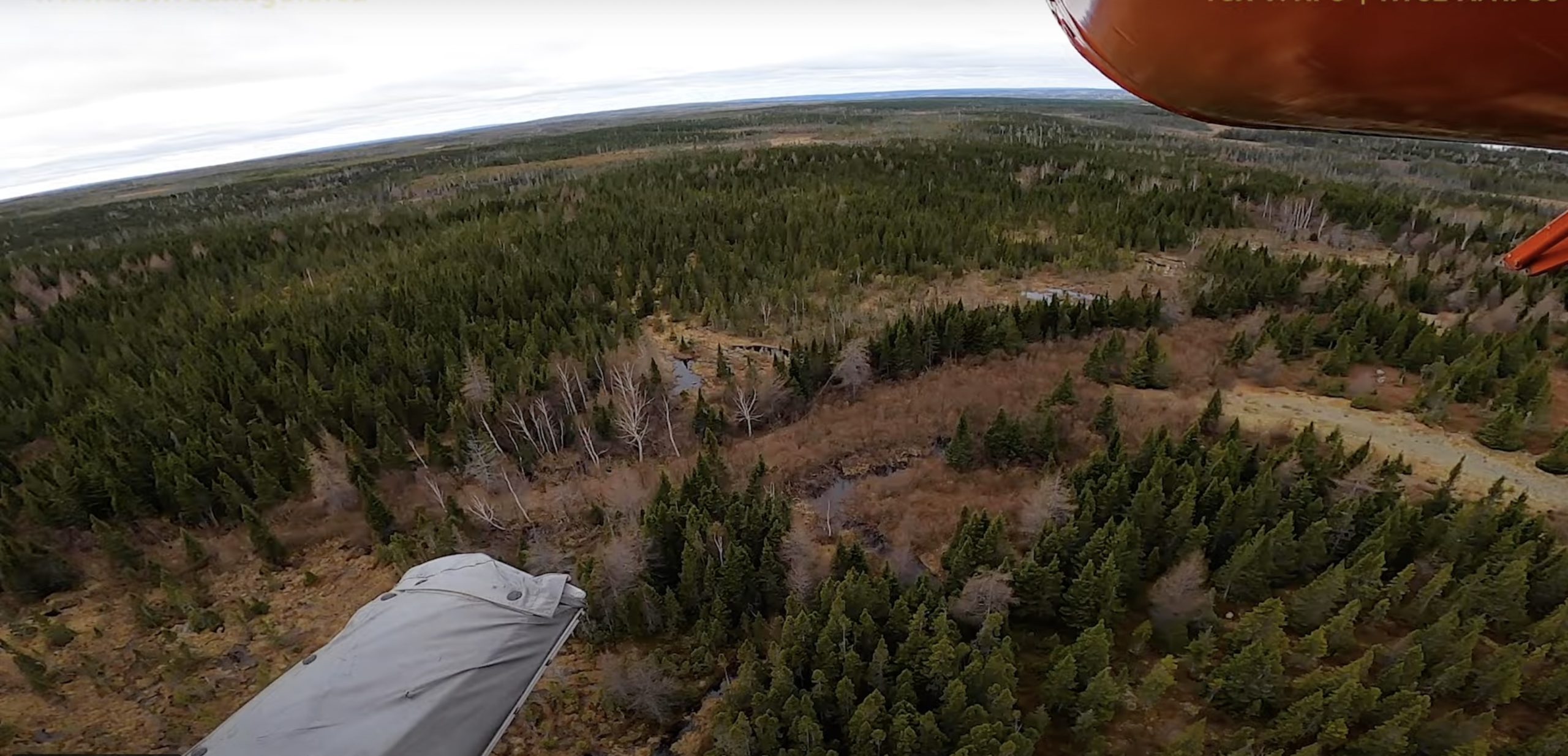 New Found Gold may explore toll mill option for Queensway project