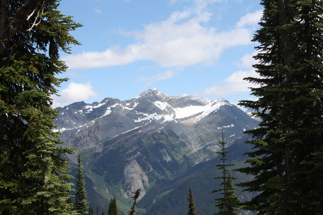British Columbia junior miner goes to court over permitting delays