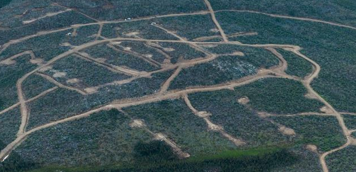 Victoria Gold drills 5.8 g/t over 31 metres at Raven in Dublin Gulch camp