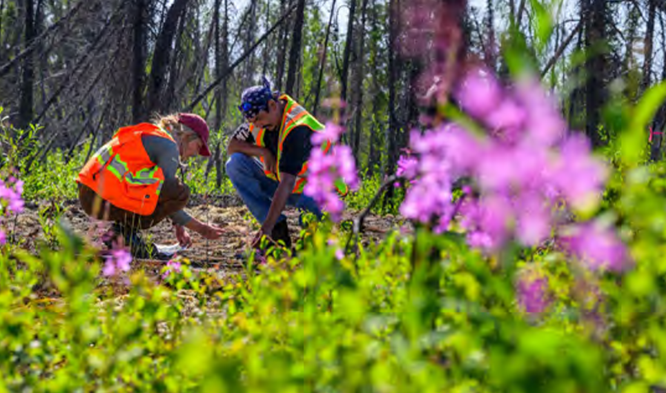 Li-FT drills 21 metres at 1.12% lithium oxide at Ki target near Yellowknife