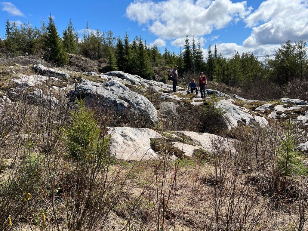 Green Tech eyes Ontario’s first lithium mine at Seymour as metal price drops