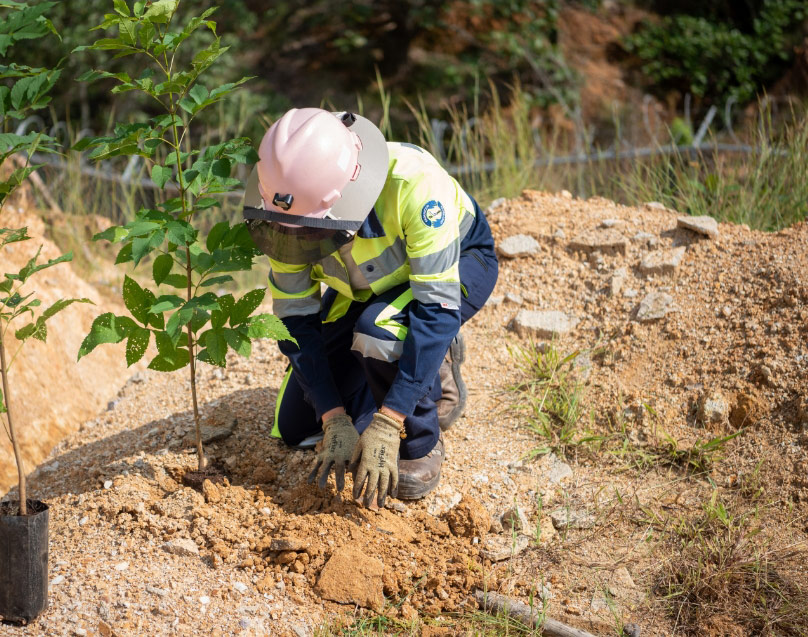 Endeavour Silver stock hits 52-week high on Terronera mine progress