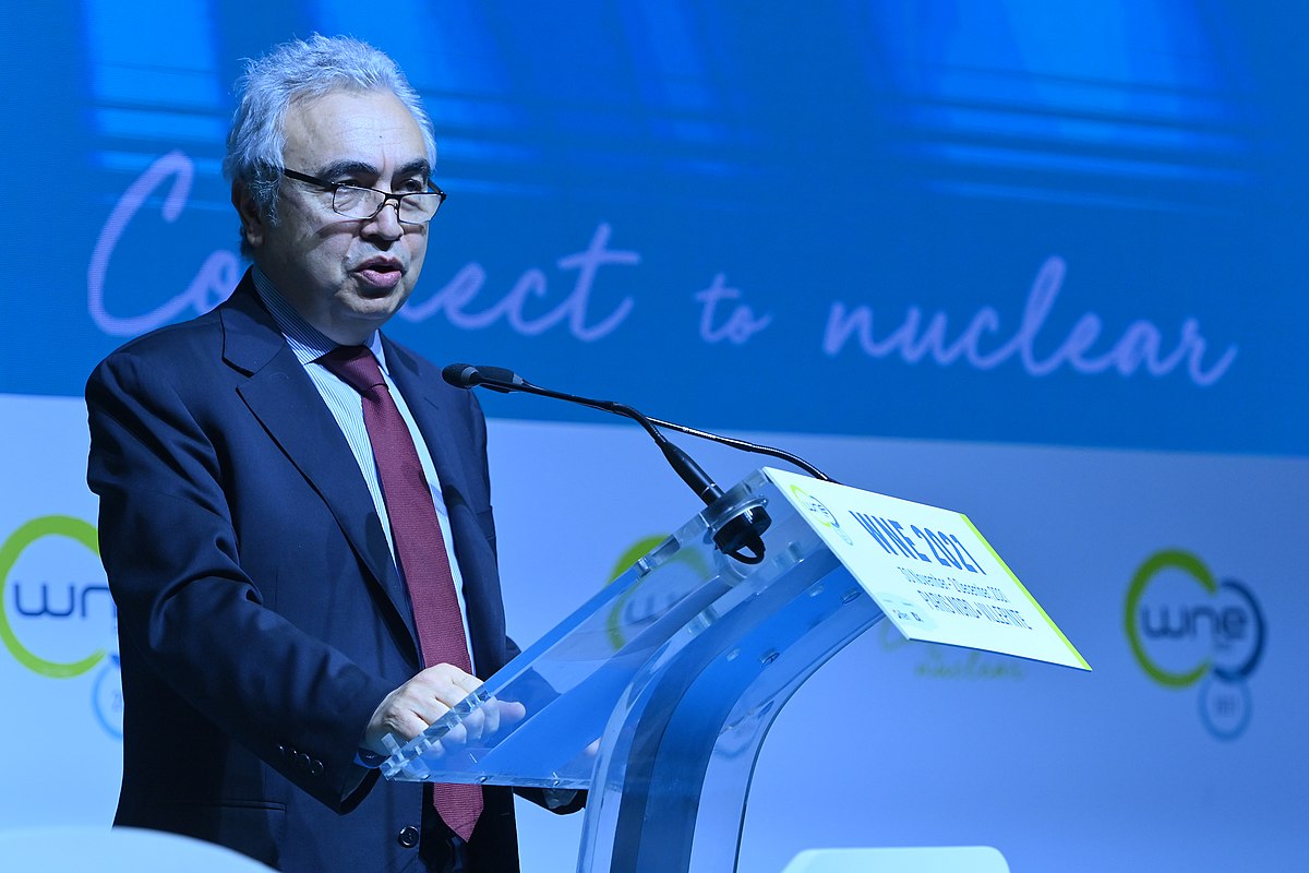 IEA to launch security program for minerals critical to energy sector