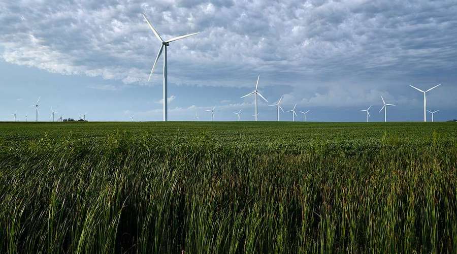 Dietary shift could generate same amount of power from renewables by 2050 as coal does today