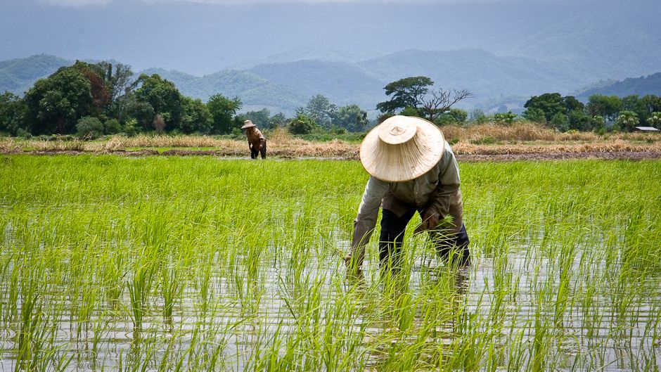 China’s SDIC in advanced talks for significant stake in Thai potash mine