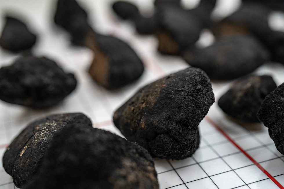 Scientists discover ‘dark oxygen’ being produced by seabed metals