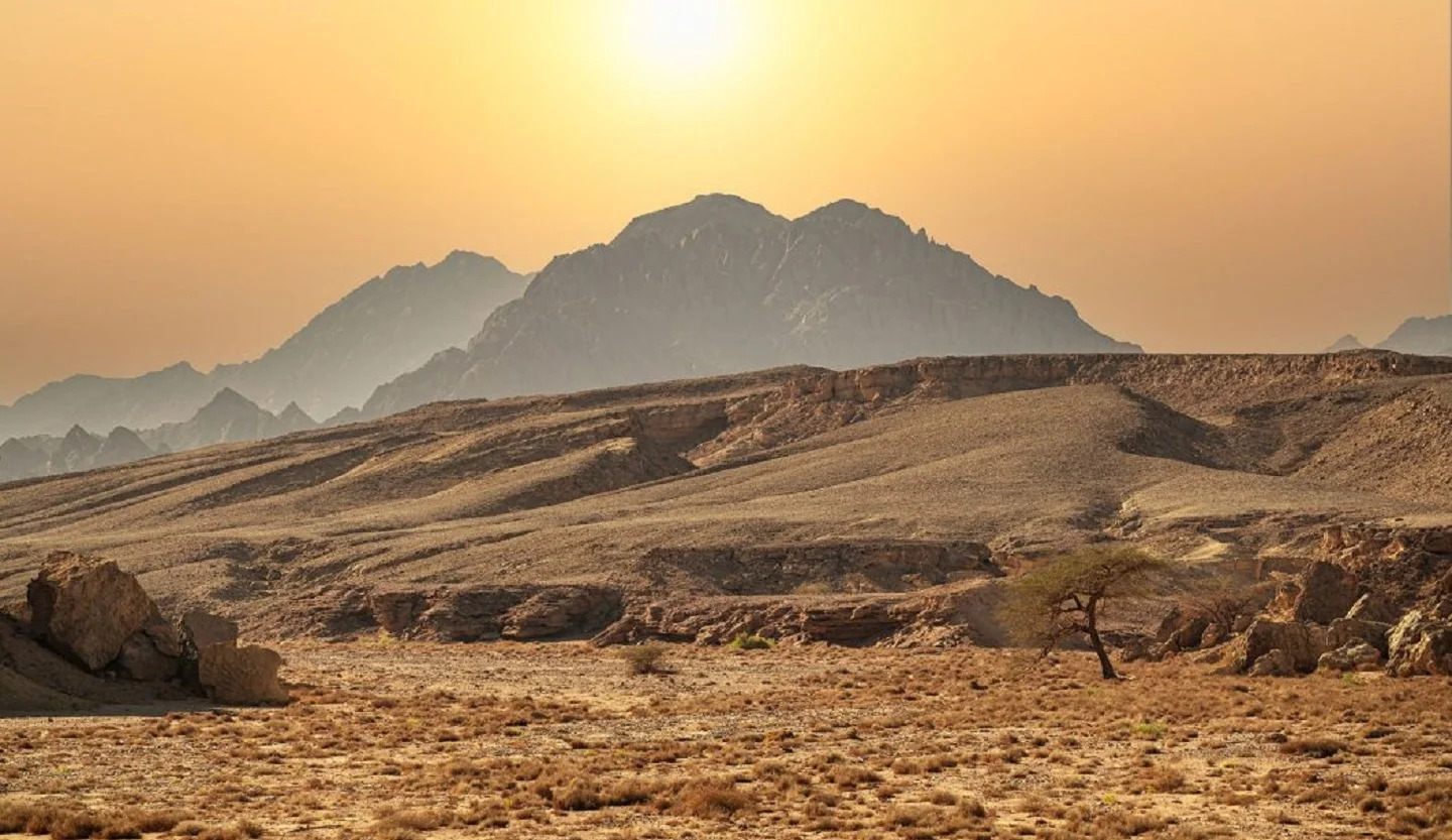 Saudi Arabia awards mining exploration licenses to local, international firms
