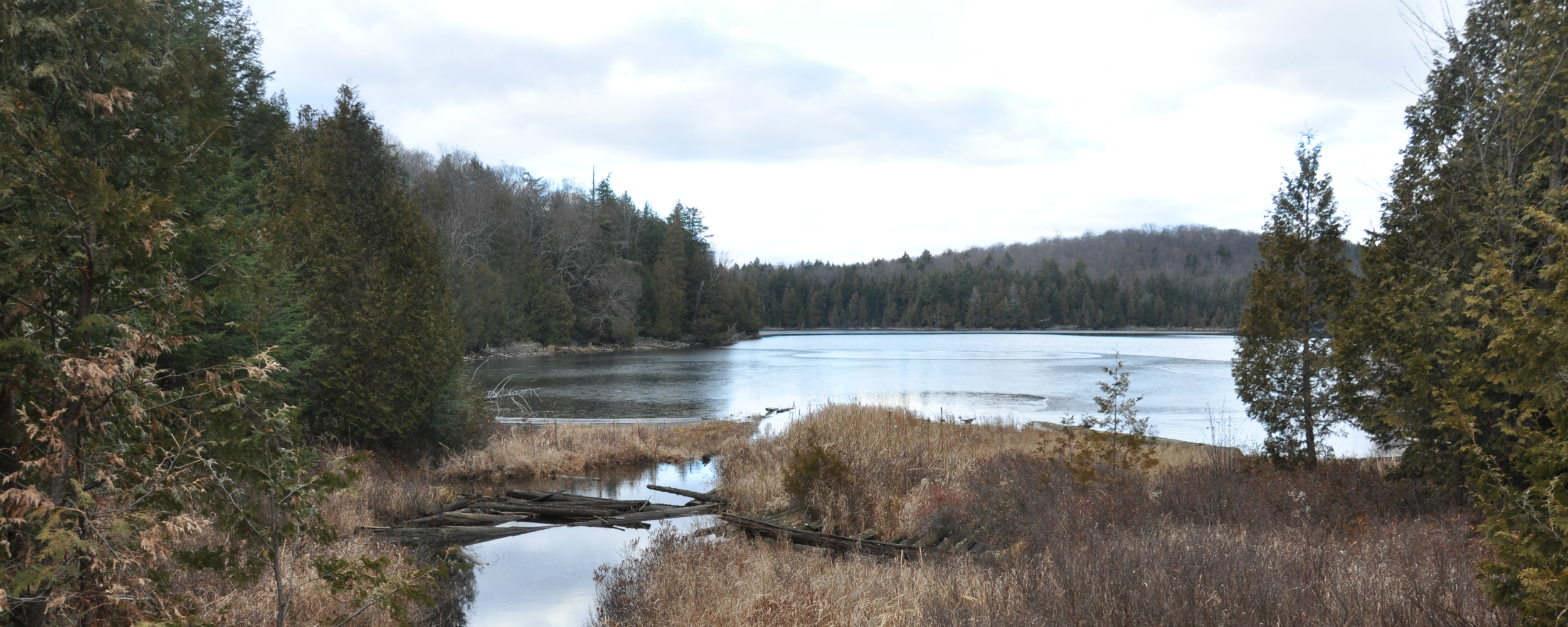 Lomiko’s Quebec graphite project faces uphill battle in cottage country