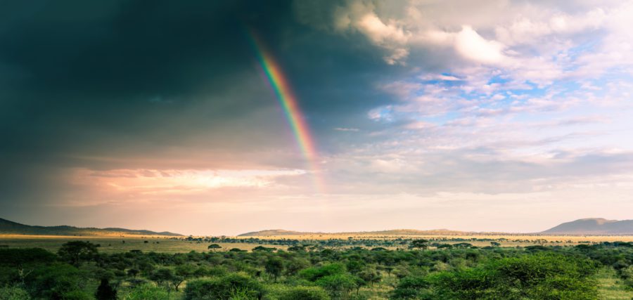 Resource nationalism and political instability: Strategies for risk management