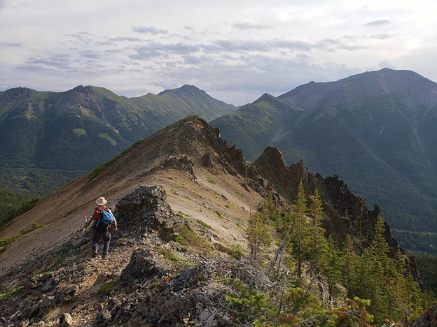 Finlay Minerals reports 2024 field results from PIL property in British Columbia