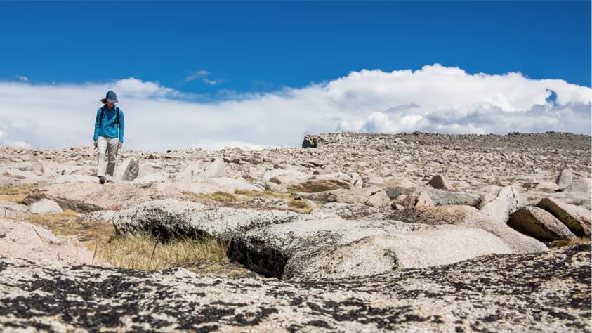 BHP selects eight companies for 2025 Xplor accelerator program
