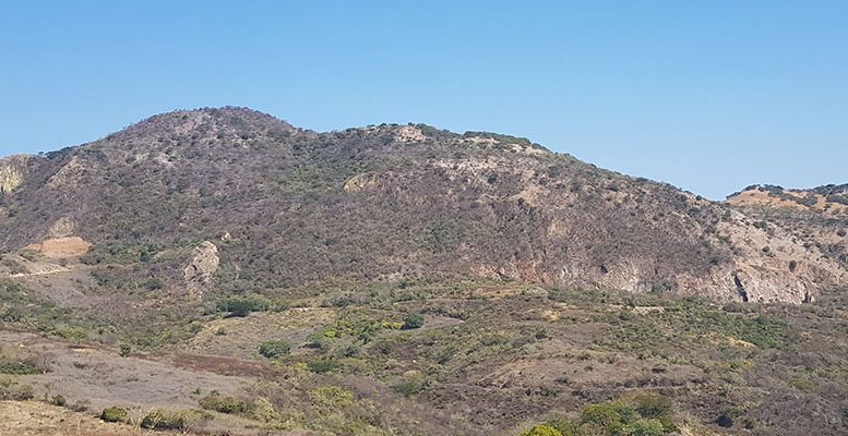 GoGold eyes permit for Los Ricos South underground in March