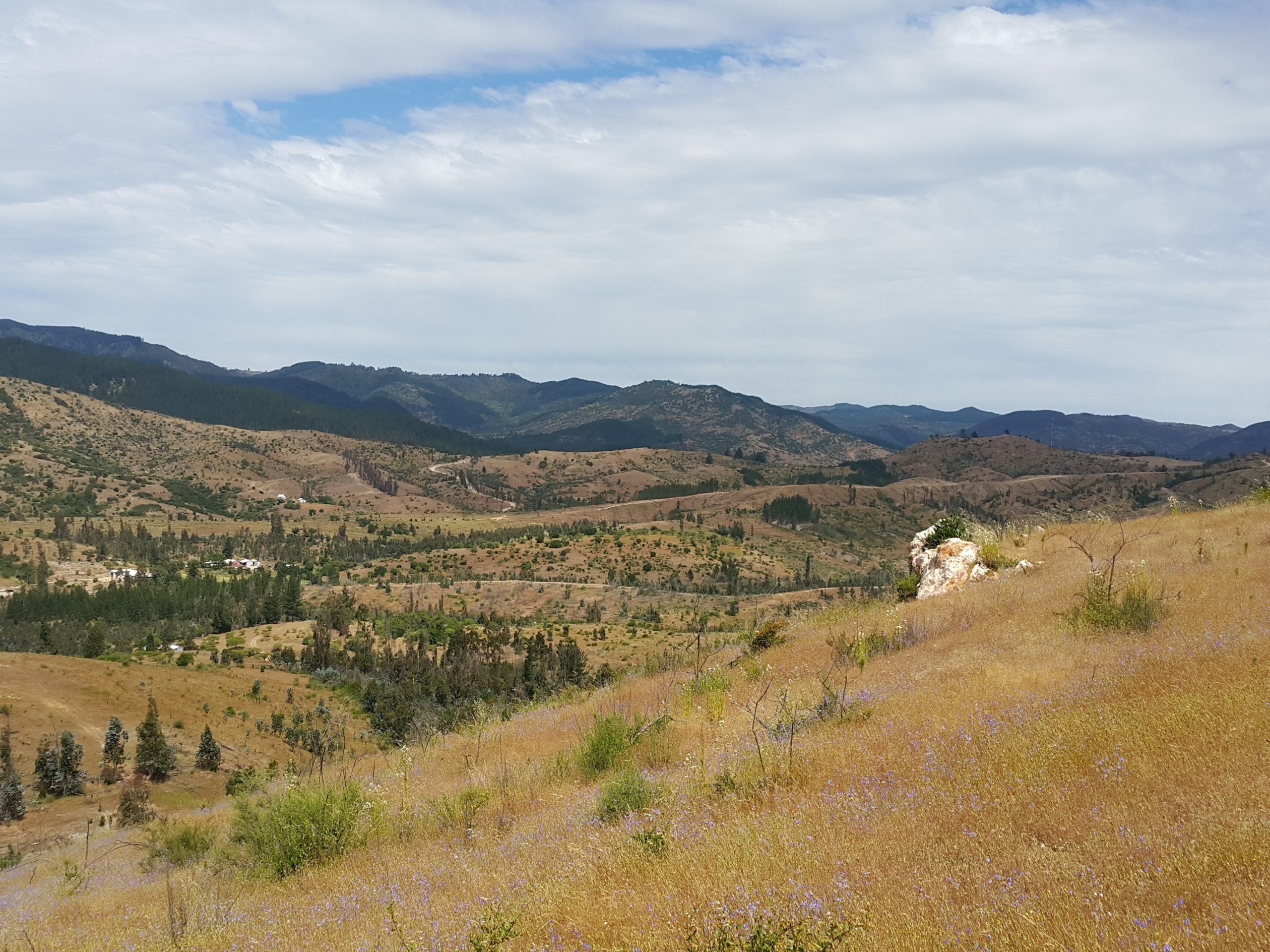 Montero Mining settles with Tanzania for $27 million
