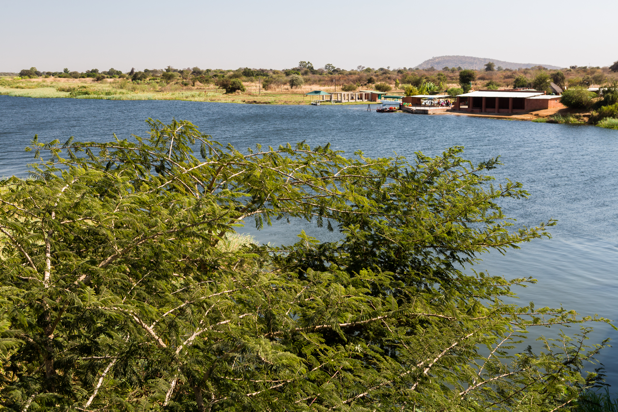 Chinese firm faces $420 million Zambia mine spill damages claims