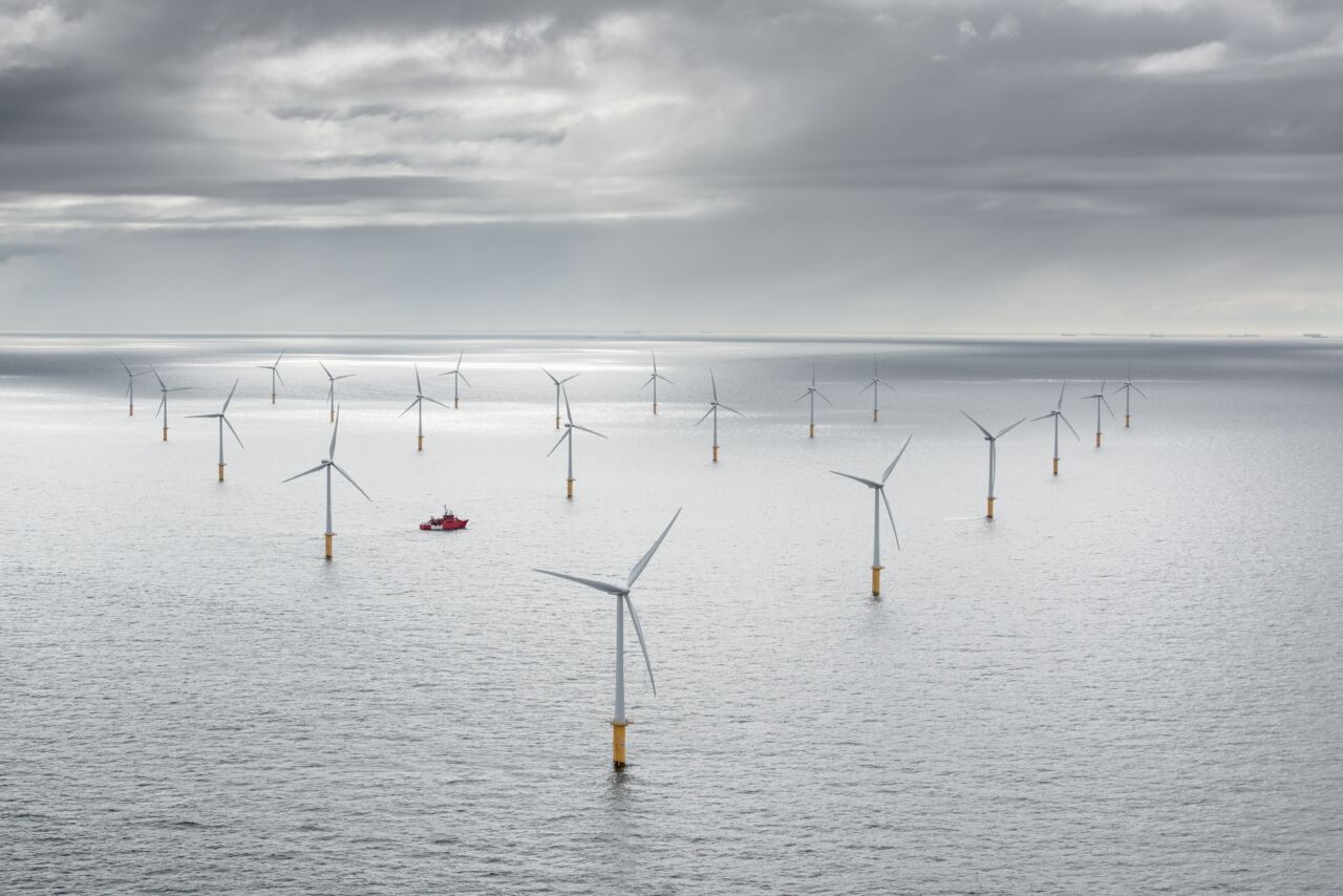 New Zealand seabed mining poses unprecedented challenge for offshore wind