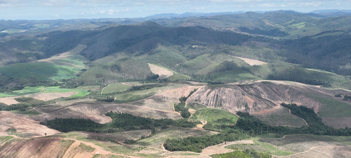 Meteoric Resources takes crown for world’s largest clay-hosted rare earths project