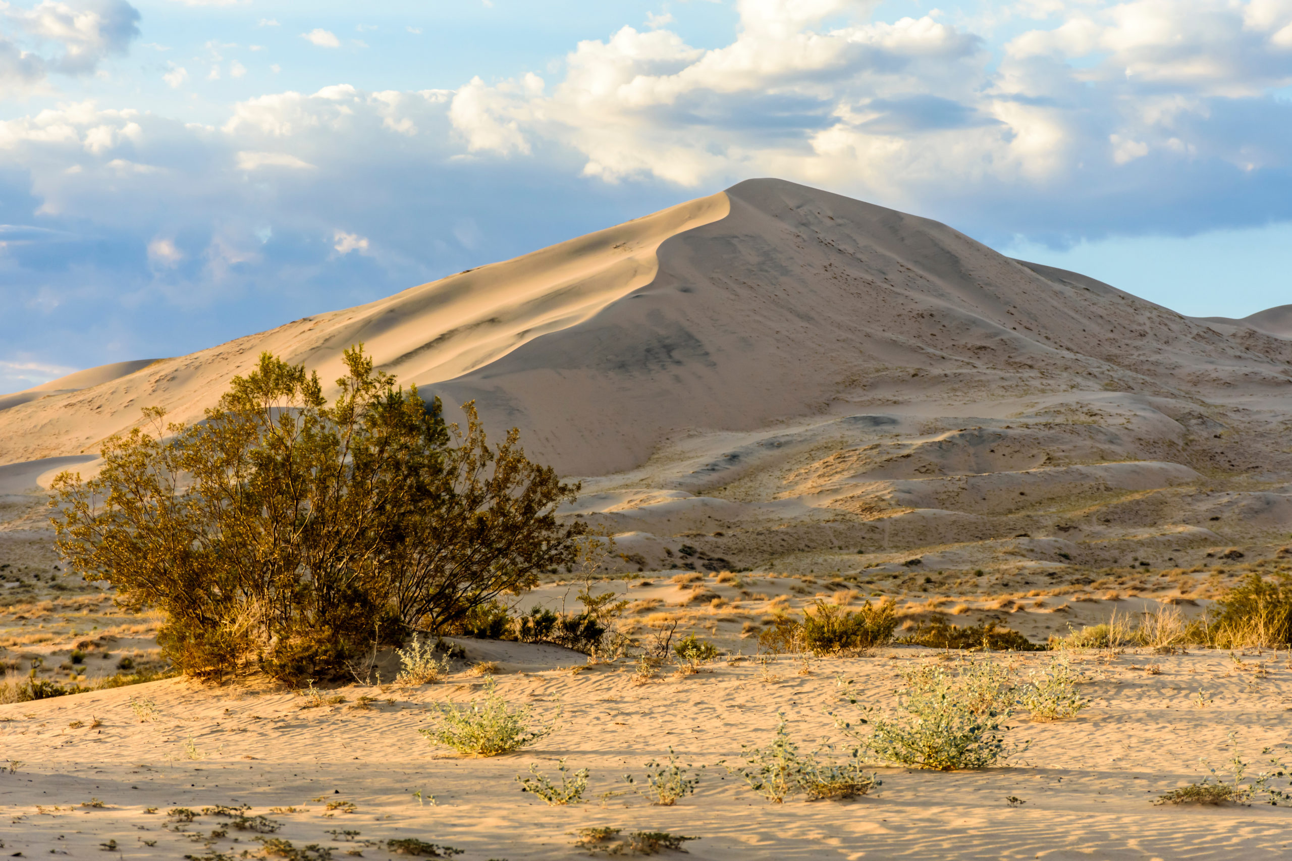US Interior publicly backs rare earth mine next to Mountain Pass