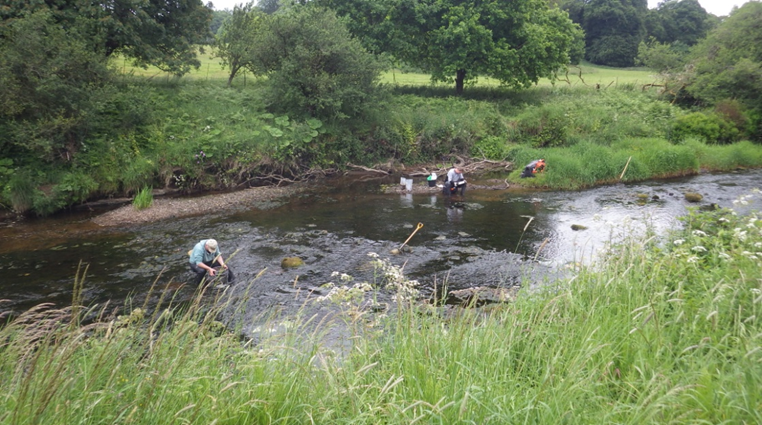 Karelian spots Victorian-era copper target in Northern Ireland