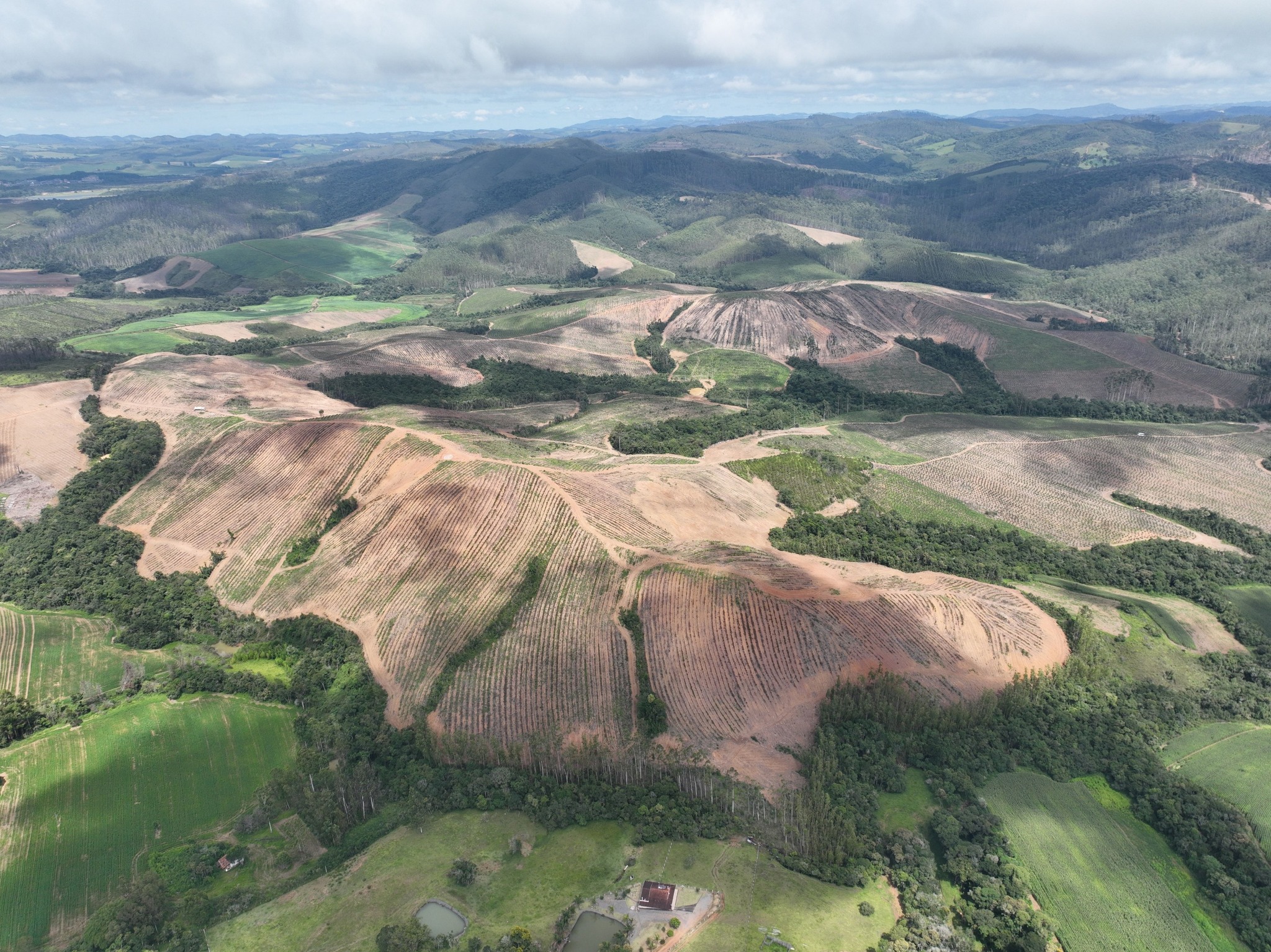 Rare earth startups eye slice of $1 billion bounty from Brazil