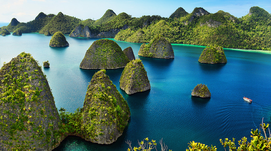 Indonesia revokes nickel mining permits at top diving spot