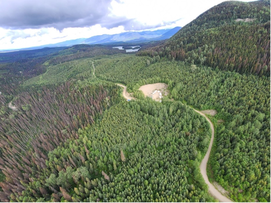 Defense Metals eyes $250M financing for British Columbia rare earth project