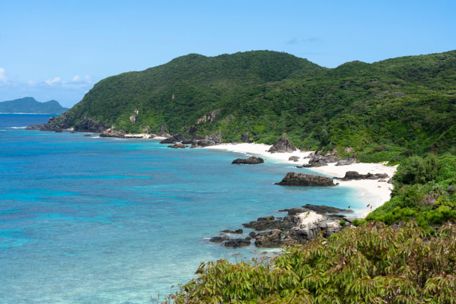 Japan to test mine seabed mud for rare earths