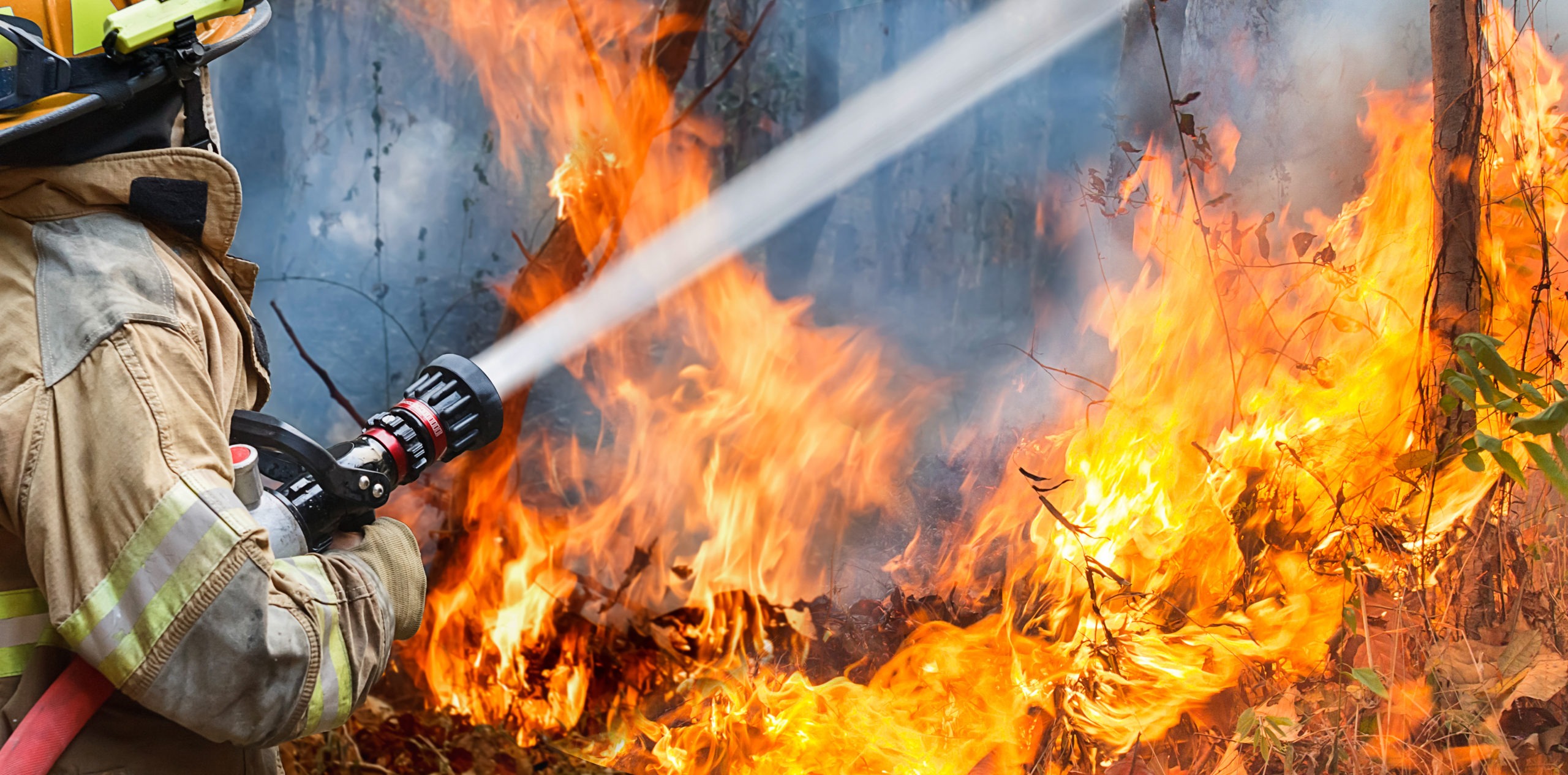 New Found Gold pauses work at Queensway amid wildfires